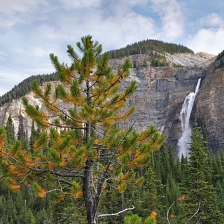Yoho NP - Takkakaw Falls